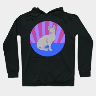 Gray Cat Hoodie